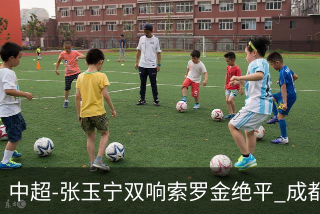 中超-张玉宁双响索罗金绝平 成都连扳两球2-2国安4连平