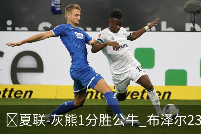 🏀夏联-灰熊1分胜公牛 布泽尔23+6+罚球锁胜局 4号秀威尔逊35+5